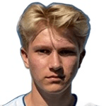 N. Lassen